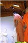 Abhishek (65).jpg
